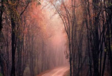 Geogrid for Gravel Driveway in the Philippines