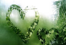 Vietnam Geogrid for Retaining Wall Solutions