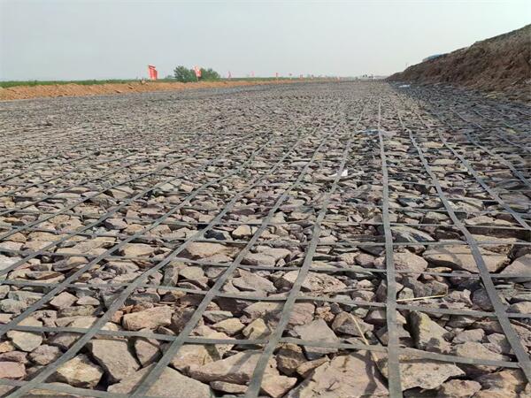 other geogrids-032.jpg
