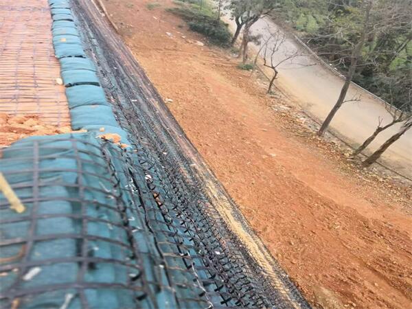 Steel-plastic geogrid used for retaining wall reinforced.jpg