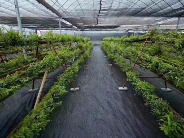 HDPE woven geotextile fabric.jpg