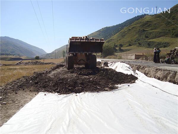Geotextile fabric used in gravel driveway.jpg