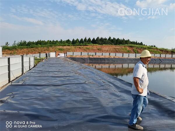 Application of impermeable geomembrane.jpg