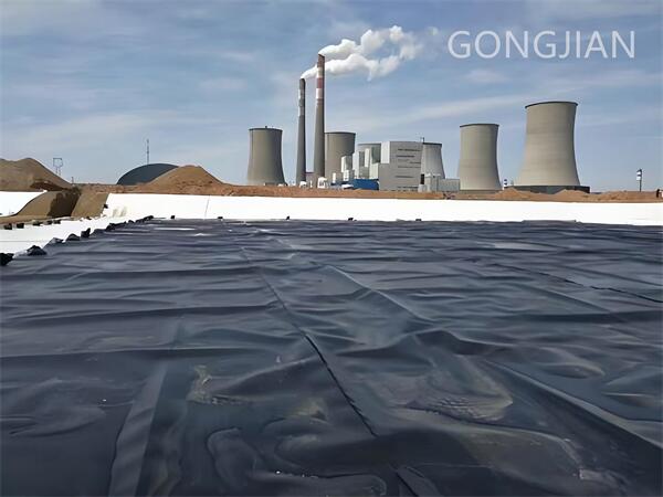 Case Presentation.jpg